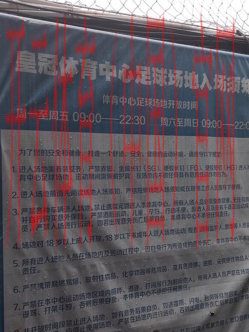 为什么皇冠体育登不上, 影响皇冠体育登录的常见原因及解决方法