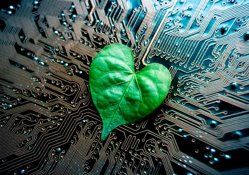 皇冠体育官网案例